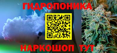 крисы Жуковский