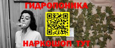 spice Заволжье